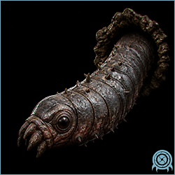 Department of Scientific Intelligence archive scan of Animworm.