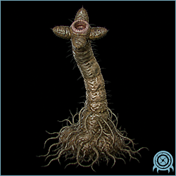 Department of Scientific Intelligence archive scan of Blob Thrower showing rooted base, nerve tendrils, telescoping stalk, maw petals, and larval ducts.