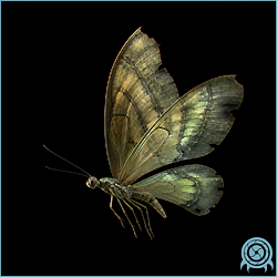 Department of Scientific Intelligence archive signal scan for ZDR Butterfly; optical signal unavailable pending lifeform image recovery.