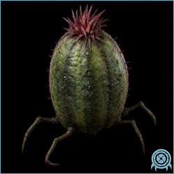 Department of Scientific Intelligence archive scan of Cacatac showing mobile plant body, acoustic membranes, inflation chamber, and radial spine telemetry.