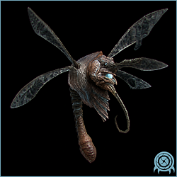Adult Chykka, a winged guardian insectoid with translucent four-wing arrangement and long feeding appendage
