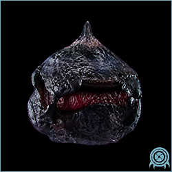 Dark Phlogus with a rounded black armored outer body and a red central mouth in a black telemetry scan.