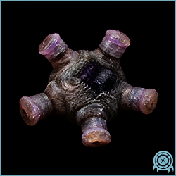 Dark Preed possessed cybernetic gas-bioform flying through a dark Aether passage with a purple toxic cloud trailing behind its body.