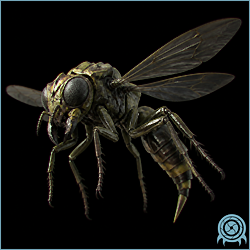 Department of Scientific Intelligence archive scan of Fargul Wasp showing juvenile fargul wasp swarm telemetry, immediate defensive behavior, hatcher proximity, and fragile early-life physiology.