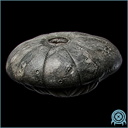 Flitt, a low rounded gray SR388 organism with a stone-like surface and narrow lower ridges, isolated against a black archive background.
