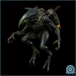 Department of Scientific Intelligence archive scan of Flying Pirate.