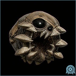 Gawron with a round brown body, large glossy eyes, and a ring of pale mouth spines against a black scan field.