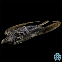 Department of Scientific Intelligence xenobiology scan of the Gelray showing flattened aquatic fins, gelatinous pressure tissue, current-sensing anatomy, and submerged ambush posture.