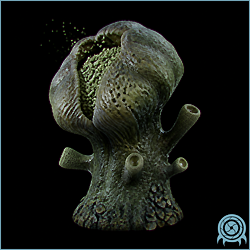 Goura Ghaspore rooted inside a Viewros Great Mines cave, showing its dense shell skin, hard rhizome, and an acidic floating sporangium.