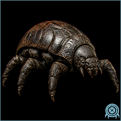 Department of Scientific Intelligence xenobiology scan of the Grizby showing heat-fused carapace, subvolcanic carrion-feeding posture, red sensory organs, and thermal-rock pathing.