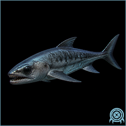 Hydling, a dark gray fish-like Aether water creature with a prominent single eye and long dorsal and tail fins.