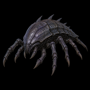 Department of Scientific Intelligence xenobiology scan of Ithrak, Lesser, Xenoform Fauna / Field Encounter Species, showing field morphology and.