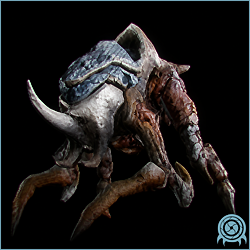Korakk Beast with a horned Phazite-armored head, bulky four-legged frame, and pale jointed limbs against a black scan field.
