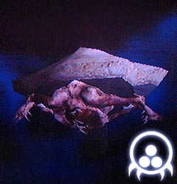 Department of Scientific Intelligence archive scan of Korba showing suspended ambush posture and feeding aperture adapted for Snatcher-delivered prey.