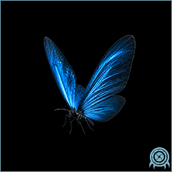 Department of Scientific Intelligence archive signal scan for ZDR Light Insect.