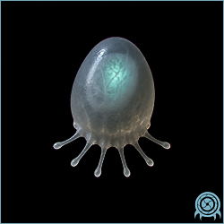 Lum Ell, a translucent bulb-shaped Burenia organism with a cyan inner glow and a ring of short lower filaments.