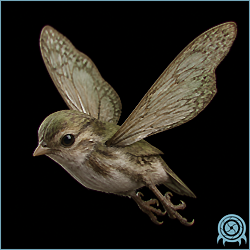 Department of Scientific Intelligence archive signal scan for Paraby.