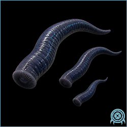 Department of Scientific Intelligence xenobiology scan of Phazon Leech.