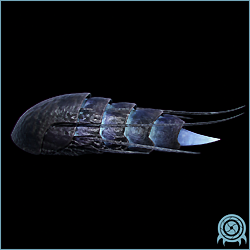 Pillbug armored Aether cave herbivore crawling along a narrow stone access tunnel with blue underside plates and extended sensory antennae.