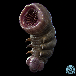Department of Scientific Intelligence archive signal scan for Pop Crawler.