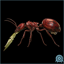 Red Relic Ant workers emerging from a mineral seam in Viewros stonework, showing red chitin, hooked feet, and acid-bearing mandibles.