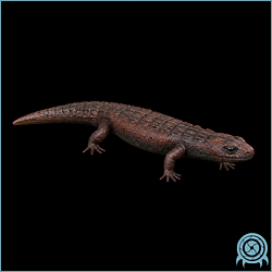 Department of Scientific Intelligence archive signal scan for ZDR Reptile.