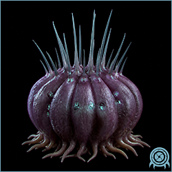 Seedling spherical spined plant organism clinging to a stone wall in the Tallon Overworld, with defensive dorsal spines visible.