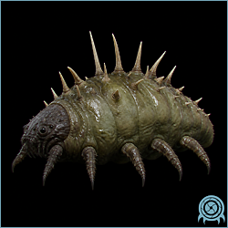Department of Scientific Intelligence archive scan of Shellbug showing soft-bodied roaming insectoid / pre-phazite defensive spine fauna telemetry.