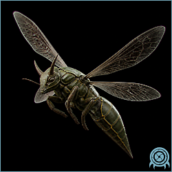 Department of Scientific Intelligence archive signal scan for Shren.