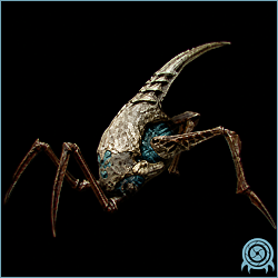 Splinter with a pale armored head, narrow insectoid body, and four long jointed legs in a black telemetry scan.