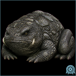 Stone Toad motionless among Tallon IV Chozo Ruins stonework, with a bulbous rock-hard body, green eyes, tusks, and open inhalation mouth.