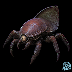 Tallon Crab swarm of small hard-shelled crustaceans moving through shallow water and metal debris in the submerged Tallon Overworld frigate.