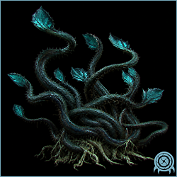 Tangleweed cluster with dark twisting stems, teal lure leaves, and a rooted base in a black telemetry scan.