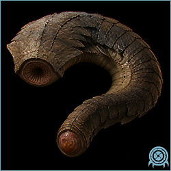 Varmis, a large Viewros sand creature with a segmented curved body, a broad round mouth, and a distinct tail orb.