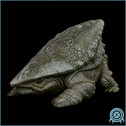 Wadge, a small dark Cryosphere crawler with a low trilobite-like outline shown against an archive telemetry field.