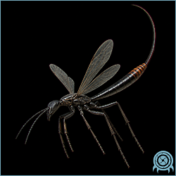 War Wasp with a narrow dark body, long legs, twin translucent wings, and a raised stinger in a black telemetry scan.