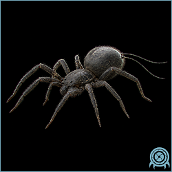 Department of Scientific Intelligence archive signal scan for Web Crawler.