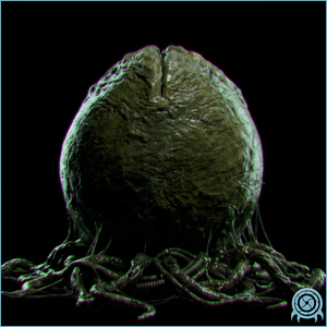 Restricted Metroid archive scan of Metroid Egg / Cocoon showing leathery ovular capsule, thermal membrane, embryo core, and cryogenic vulnerability markers.